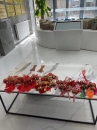 嘉泰物業(yè)|端午節(jié)，揚(yáng)帆日，一“粽”定乾坤！
